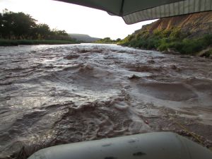 This is Jeremy Wade territory. 