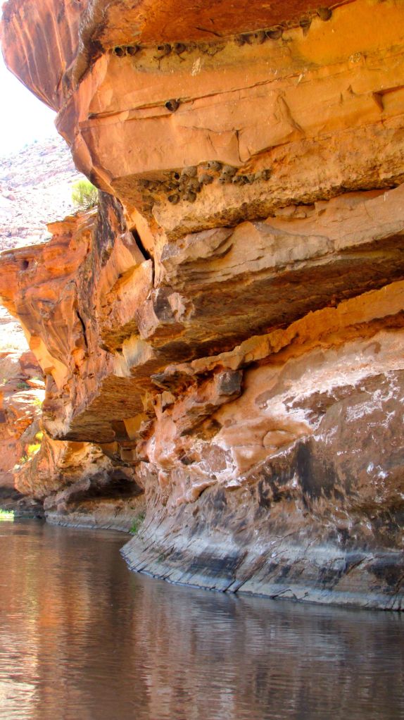 The beauty of Dominguez Canon. 