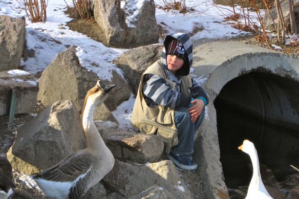 The geese at Sand Lake are quite vocal. Here my son, Eddie, checks one out. 