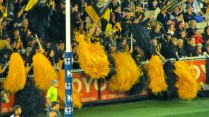 Fans of Melbourne's Richmond Tigers 