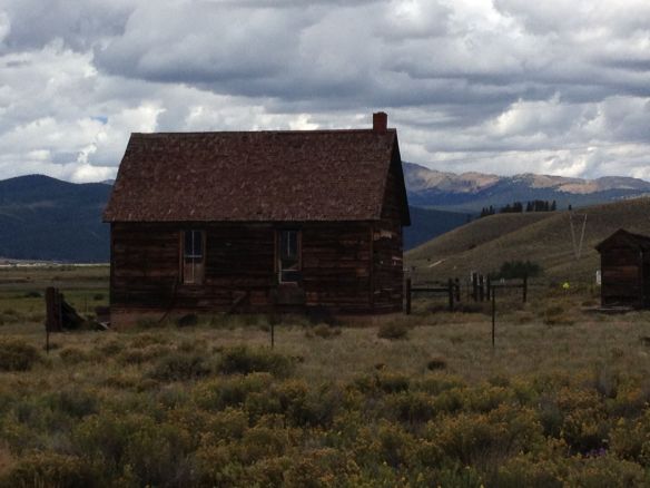 Home on the mange range.