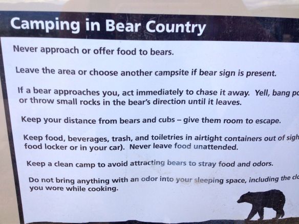 How to camp with bears in Colorado. 