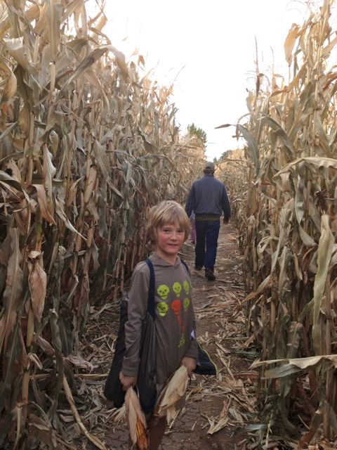 My son, Eddie in the corn maze in Cañon City. 