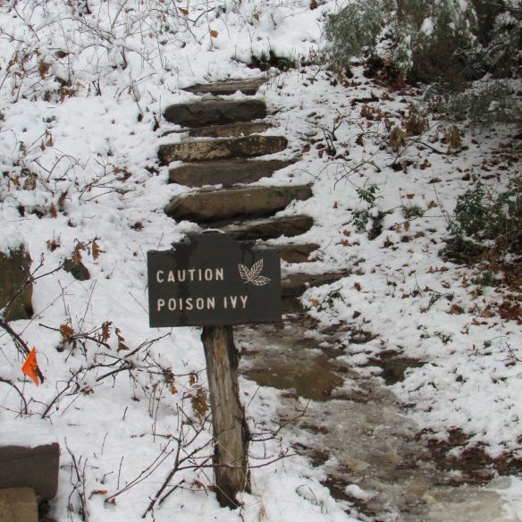 YIkes! I don't think I'll go any further. 