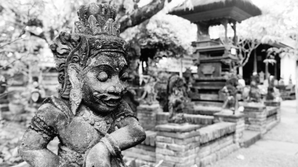 © intothegreen (https://www.flickr.com/photos/intothegreen/)