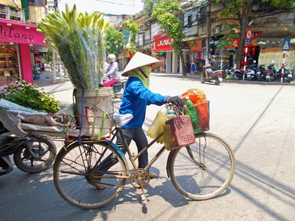 Woman with plants on bike in hanoi