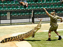The late Steve Irwin, aka, The Crocodile Hunter. Photo by: Richard Giles