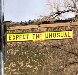 expect the unusual